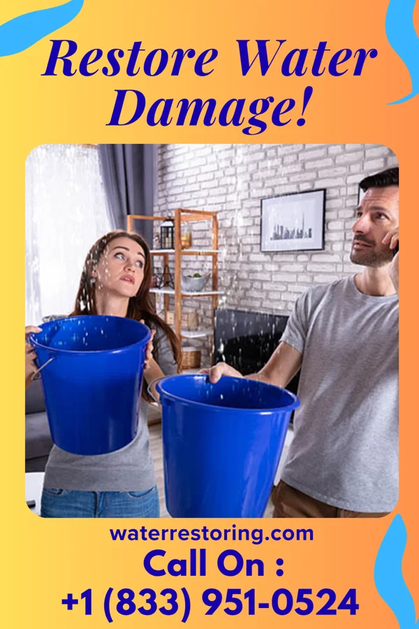 water restoration Imperial Damage Restoration Pros Ivanhoe